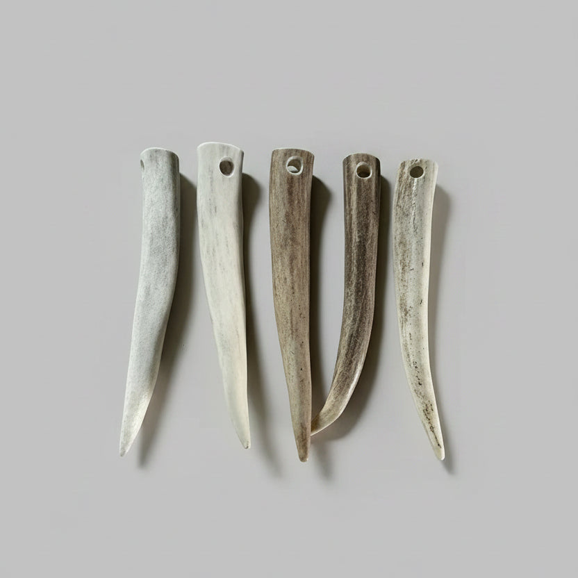 Five deer antler tips with holes on a gray surface