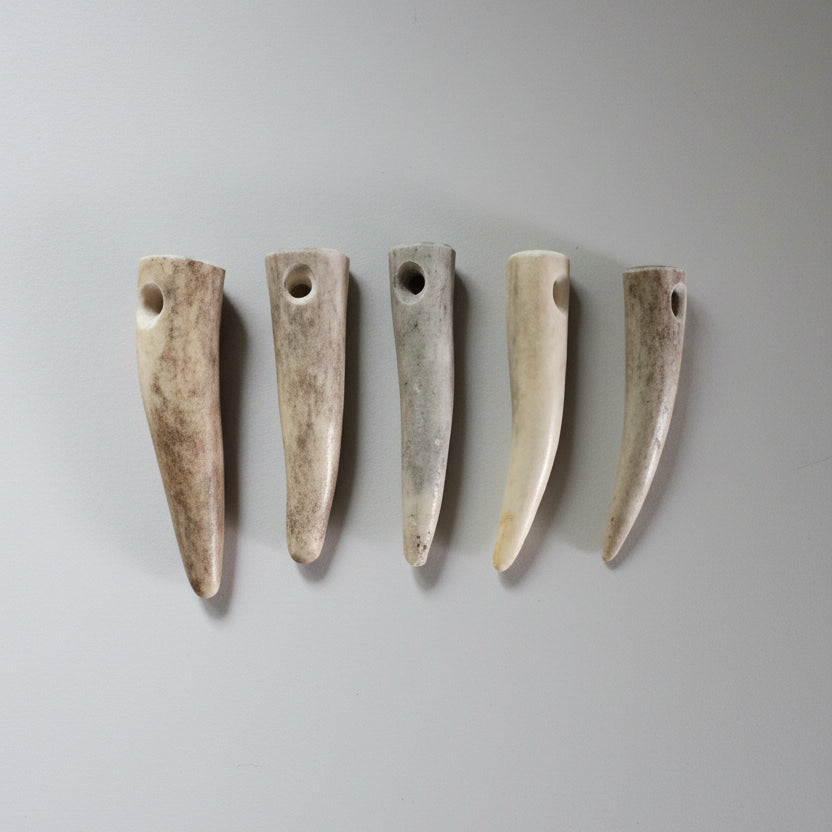 5 deer antler tip beads on gray background