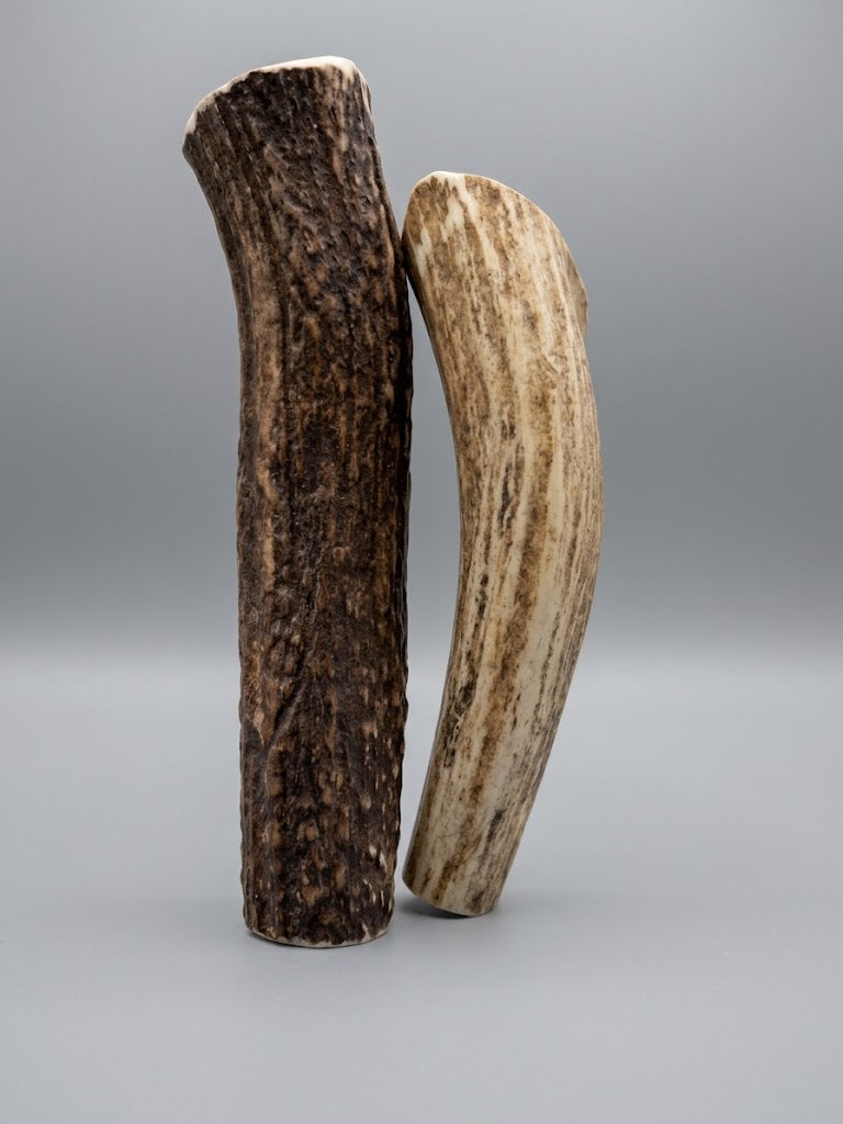 6 Inch Elk Antler Dog Chew Round Pack of 2- Natural Shed Elk Antler