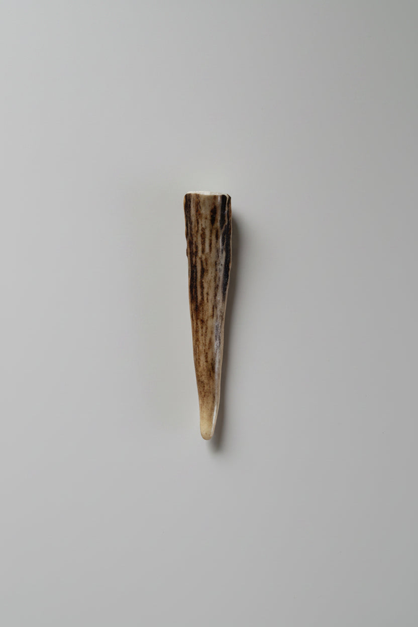 Antler tip on a gray background