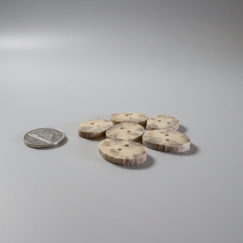 Moose antler buttons on a gray background