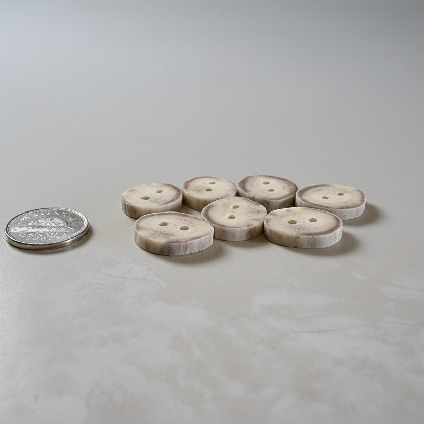 Deer antler buttons on a gray background