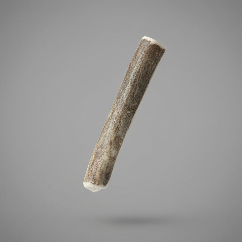 4 inches deer antler dog chew on a gray background