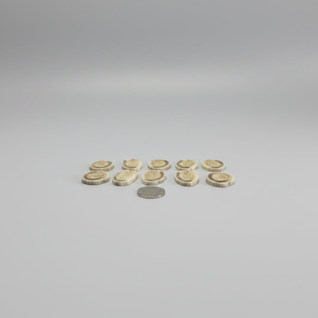 10 deer antler slices side view on a gray background