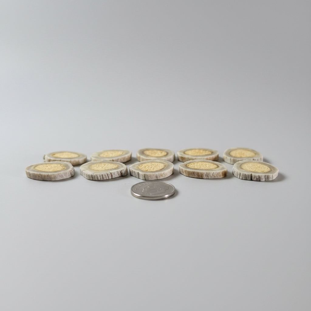 10 deer antler slices on a gray background