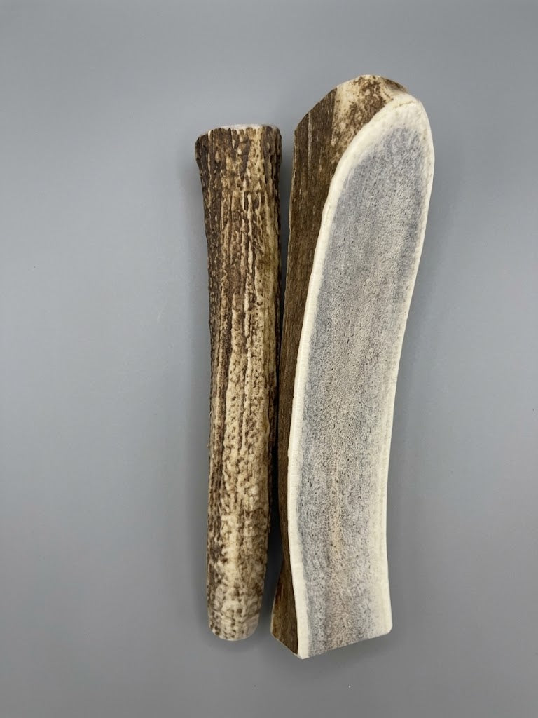 8 Inch Elk Antler Dog Chew Split pack of 2 - Natural Shed Elk Antler
