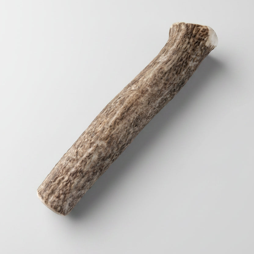 Elk Antler Dog Chew - Natural Shed Elk Antler for Medium and Large Dogs
