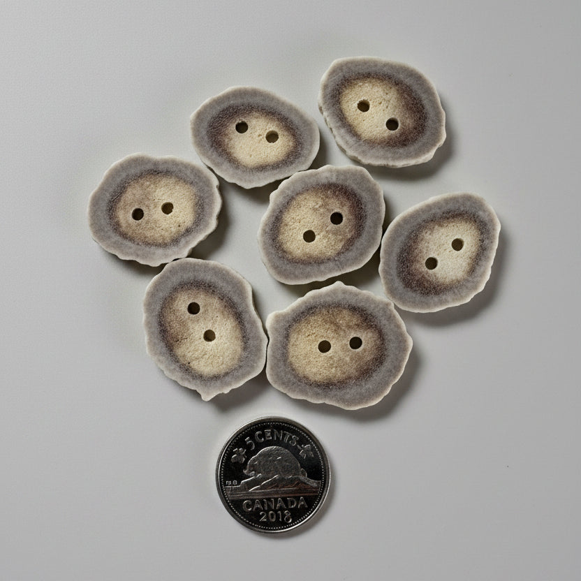 7 Deer antler buttons on a gray background