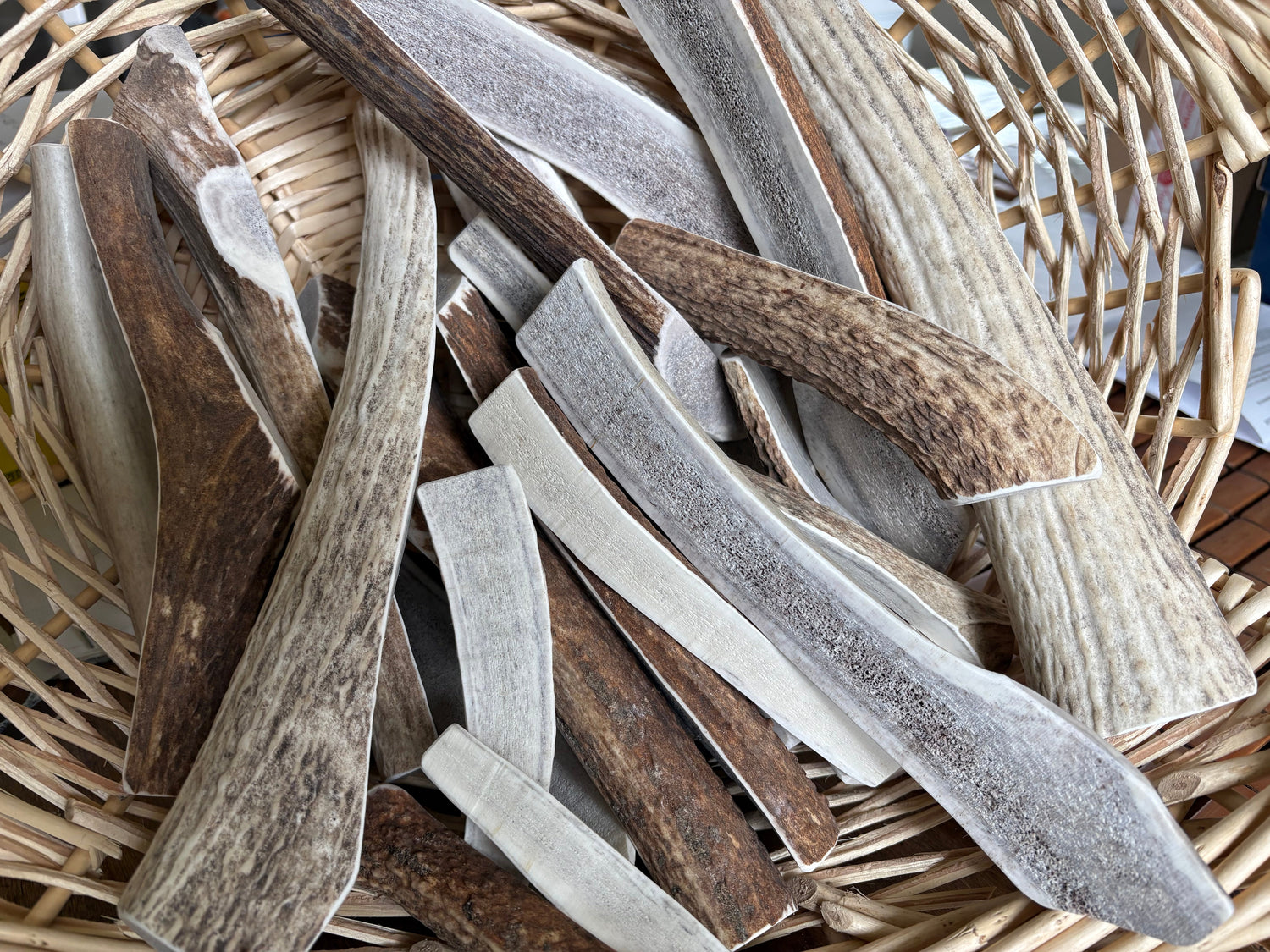 Antler Dog Chews