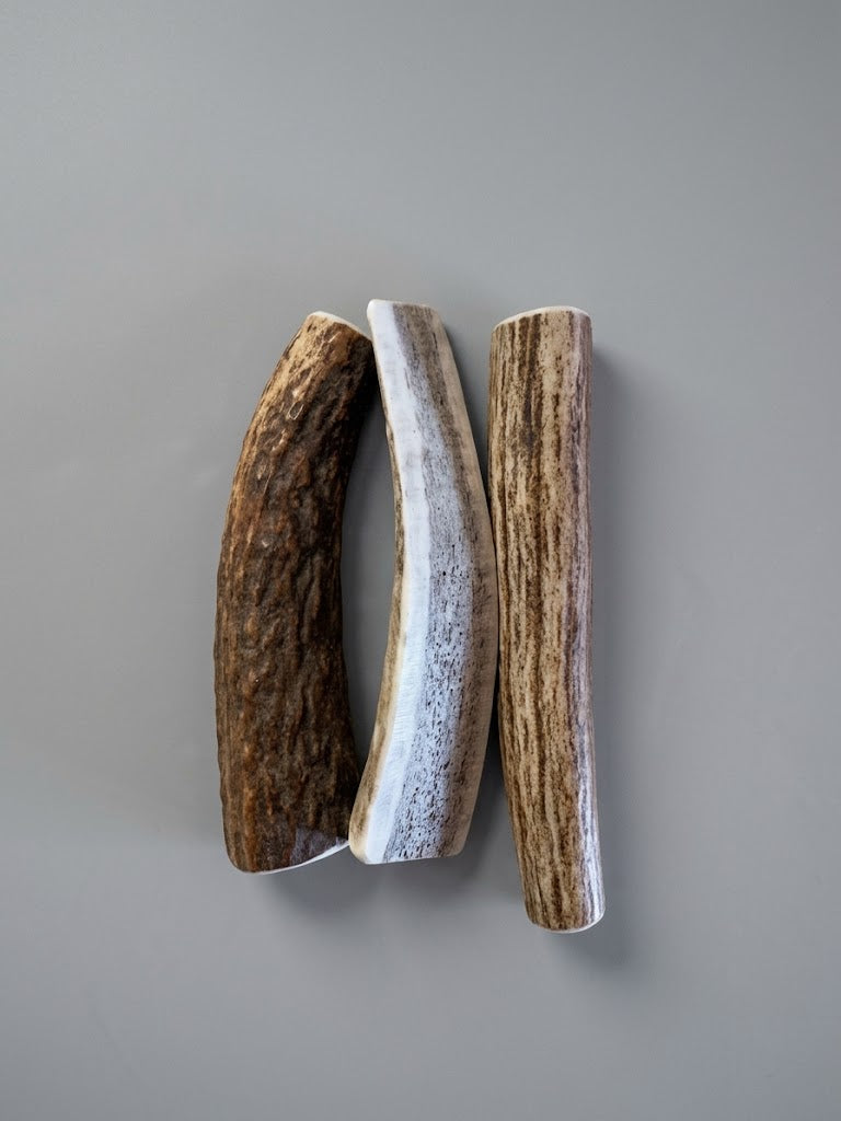 4 Inch Elk Antler Dog Chew Split Pack of 3 - Natural Shed Elk Antler