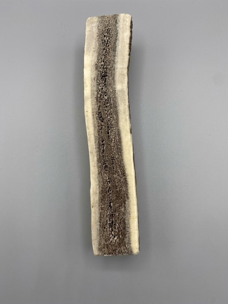 Other side 6 inch elk antler dog chew on a gray background