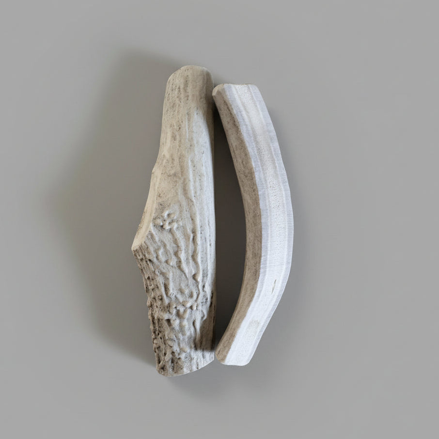 6 inches deer antler dog chew split on a gray background
