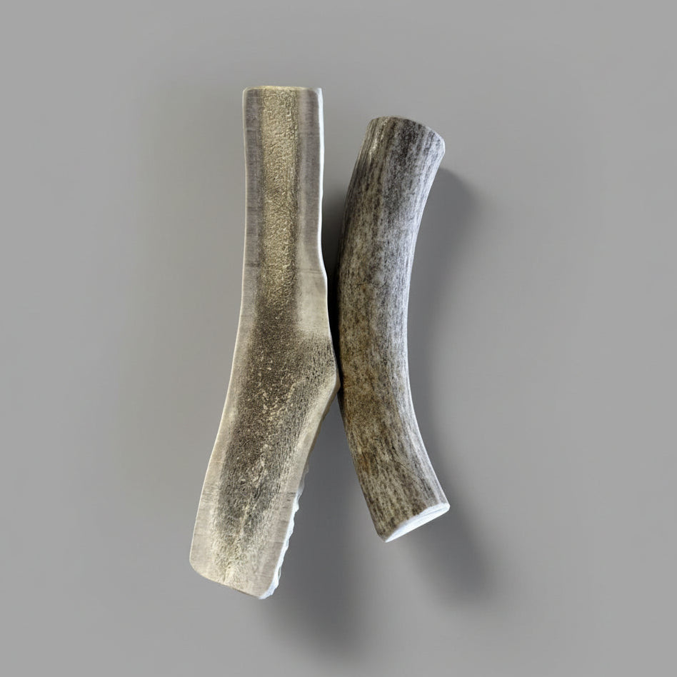 6 inches deer antler dog chews split on a gray background