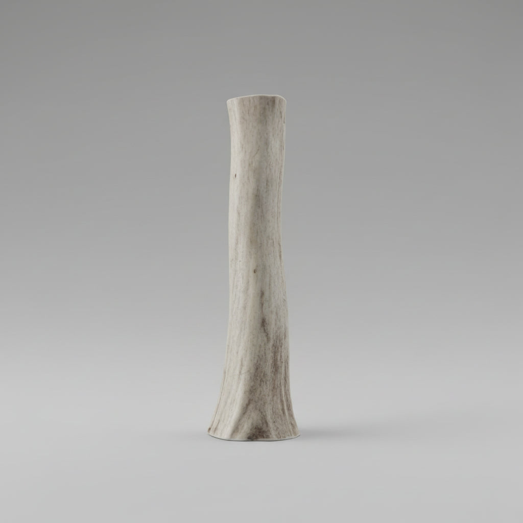 6 inch round deer antler dog chew on a gray background