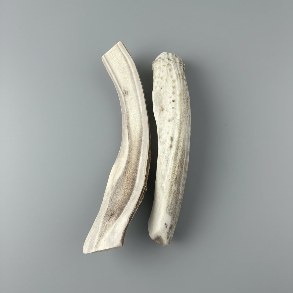 8 inches deer antler dog chews on a gray background