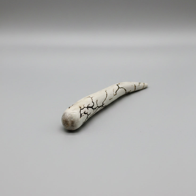 Deer antler tips polished and decorated with strike on a gray background