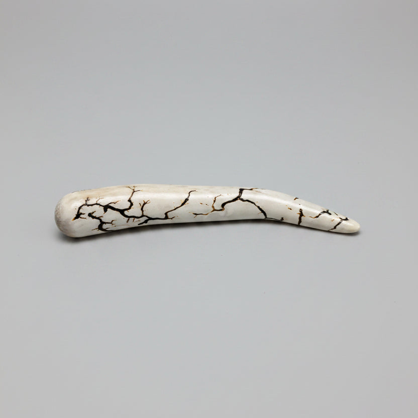 Side view of the Deer antler tips polished and decorated with strike on a gray background