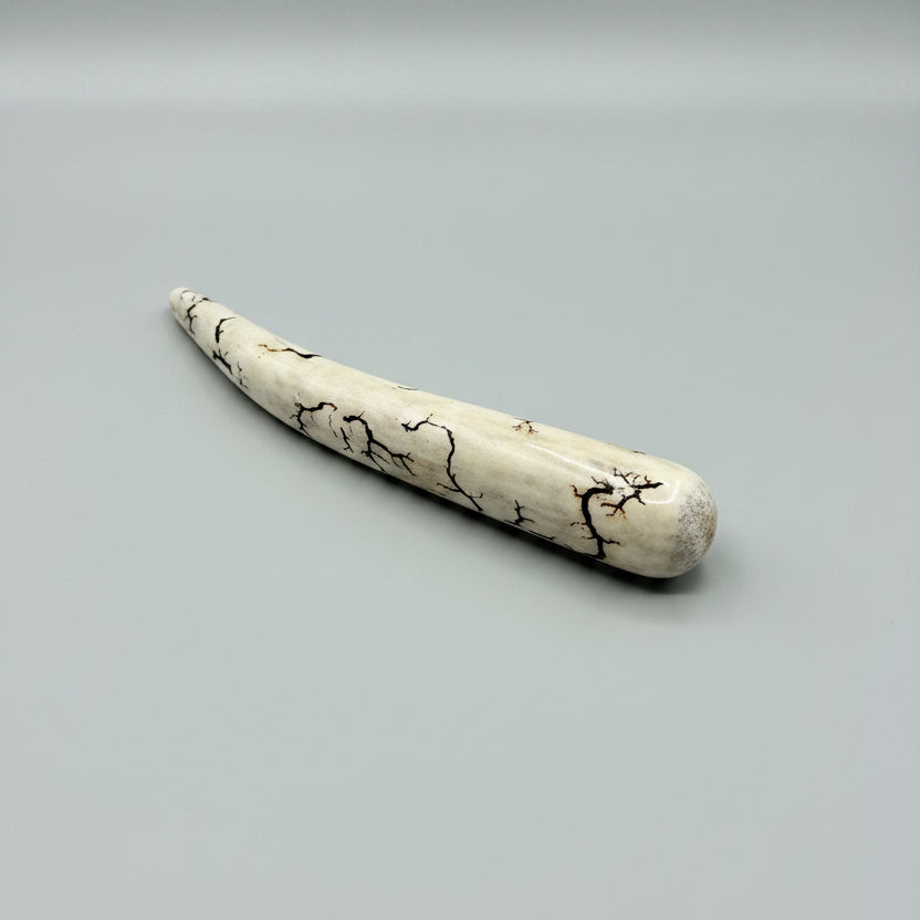 Other side view of the Deer antler tips polished and decorated with strike on a gray background