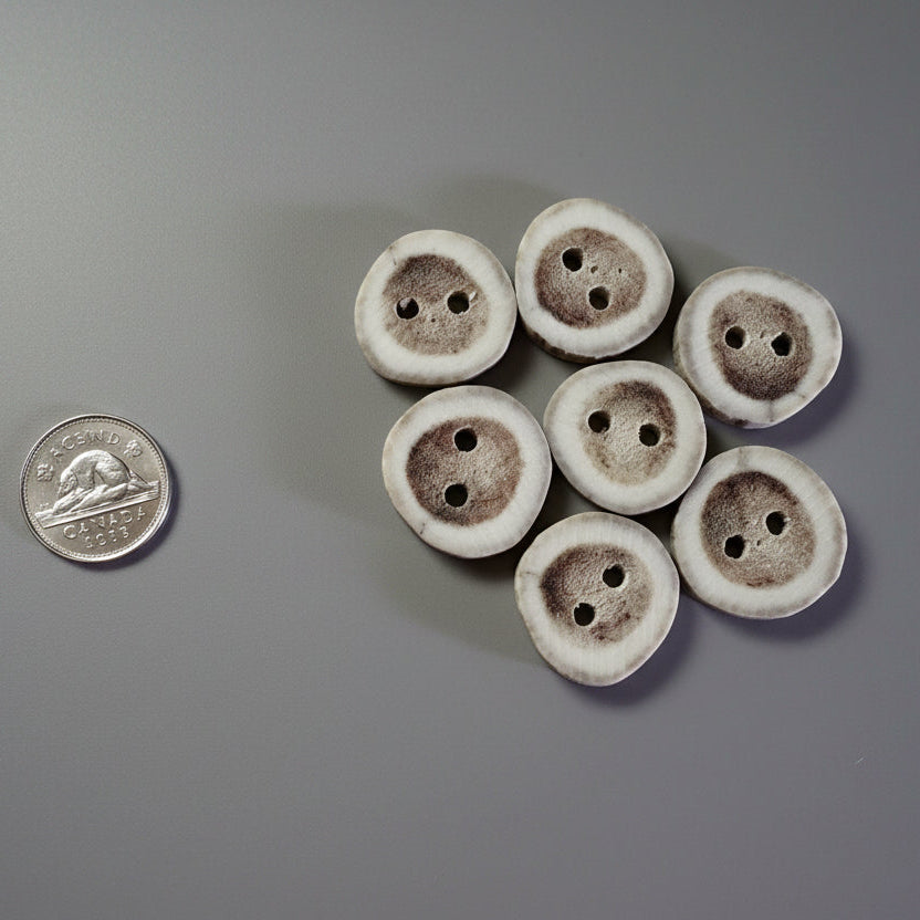 Deer antler buttons on a gray background