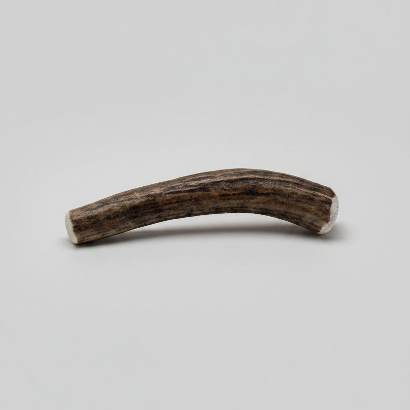 deer antler dog chew on a gray background