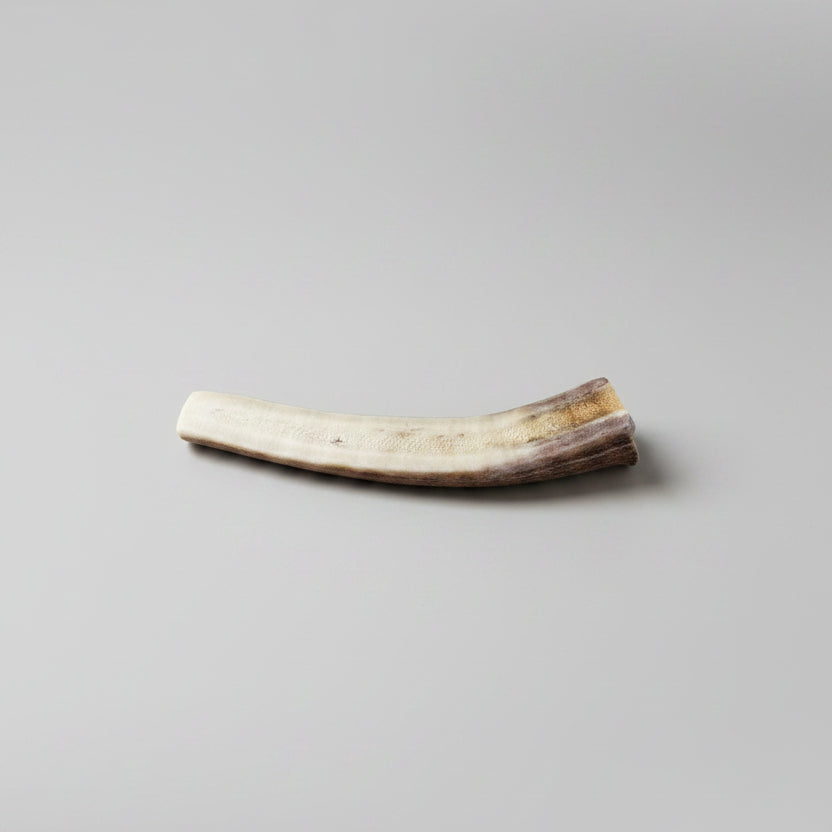 deer antler dog chew on a gray background