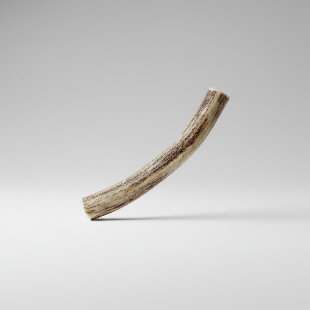 deer antler dog chew on a gray background
