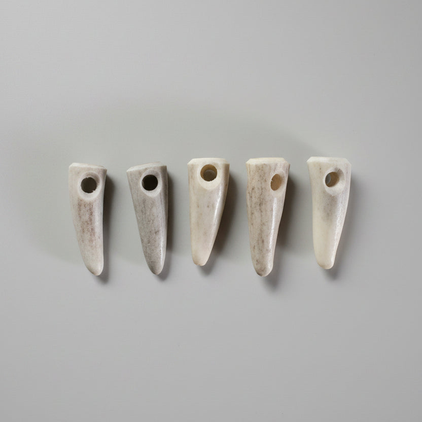 Set of five deer antler tips beads on a gray background