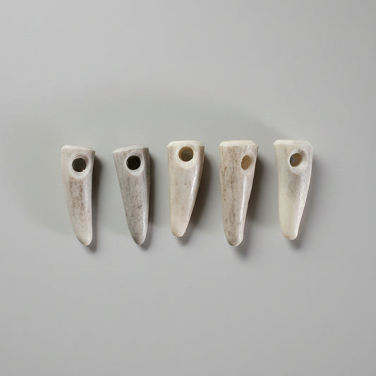 Set of five deer antler tips beads on a gray background