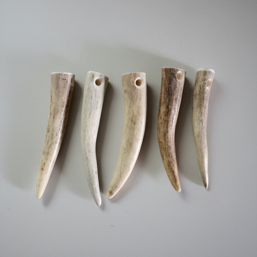 5 deer antler tip bead on a gray background