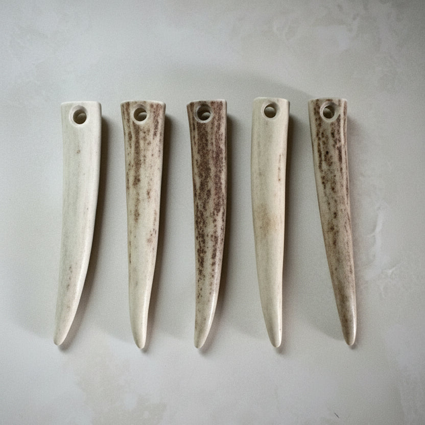 Deer antler tip beads on a gray background