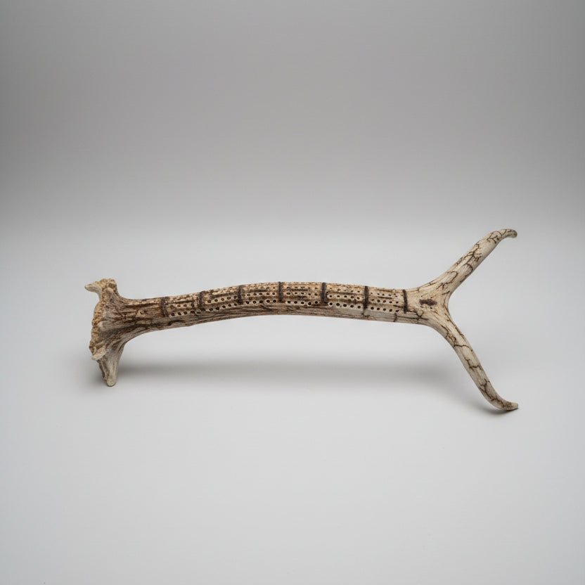 Elk antler cribbage board on a gray background