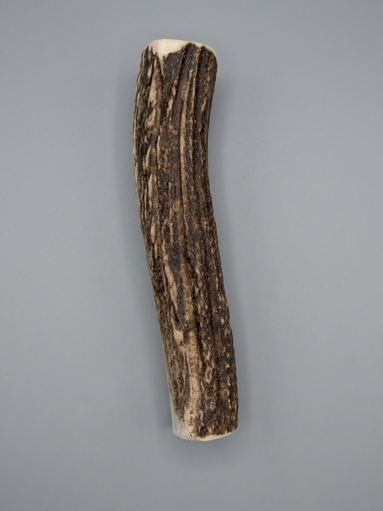 6 Inch Elk Antler Dog Chew Round - Natural Shed Elk Antler