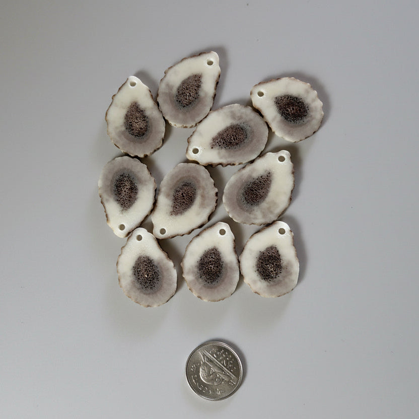 Elk antler slice with a small hold on a gray background