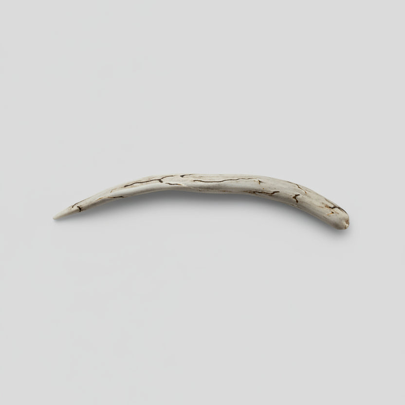 Polished Deer Antler Hair Pin - Natural Antler