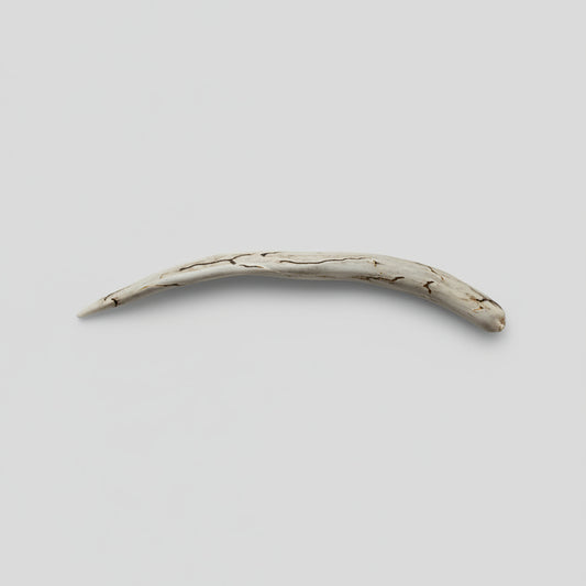 Polished Deer Antler Hair Pin - Natural Antler
