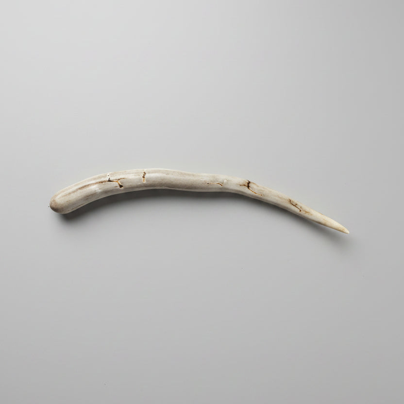 Polished Deer Antler Hair Pin - Natural Antler