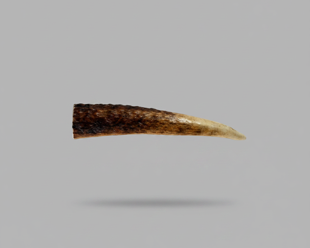 Elk Antler Piece For Knife Handle - Natural Shed Elk Antler