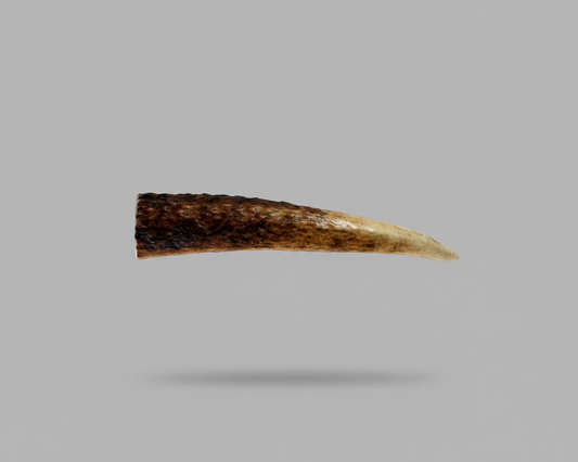 Elk Antler Piece For Knife Handle - Natural Shed Elk Antler