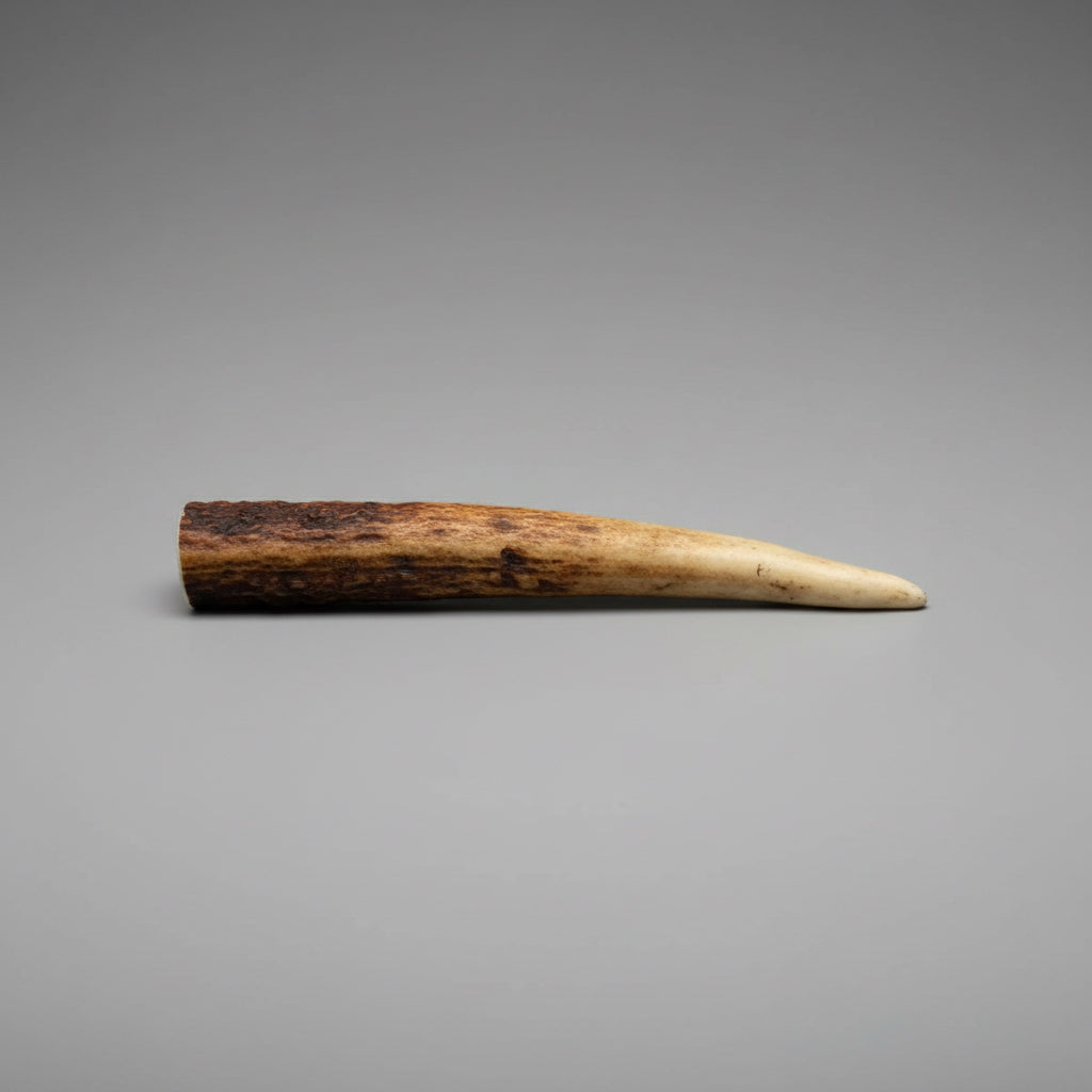 Other side Elk antler piece for knife handle on  gray background