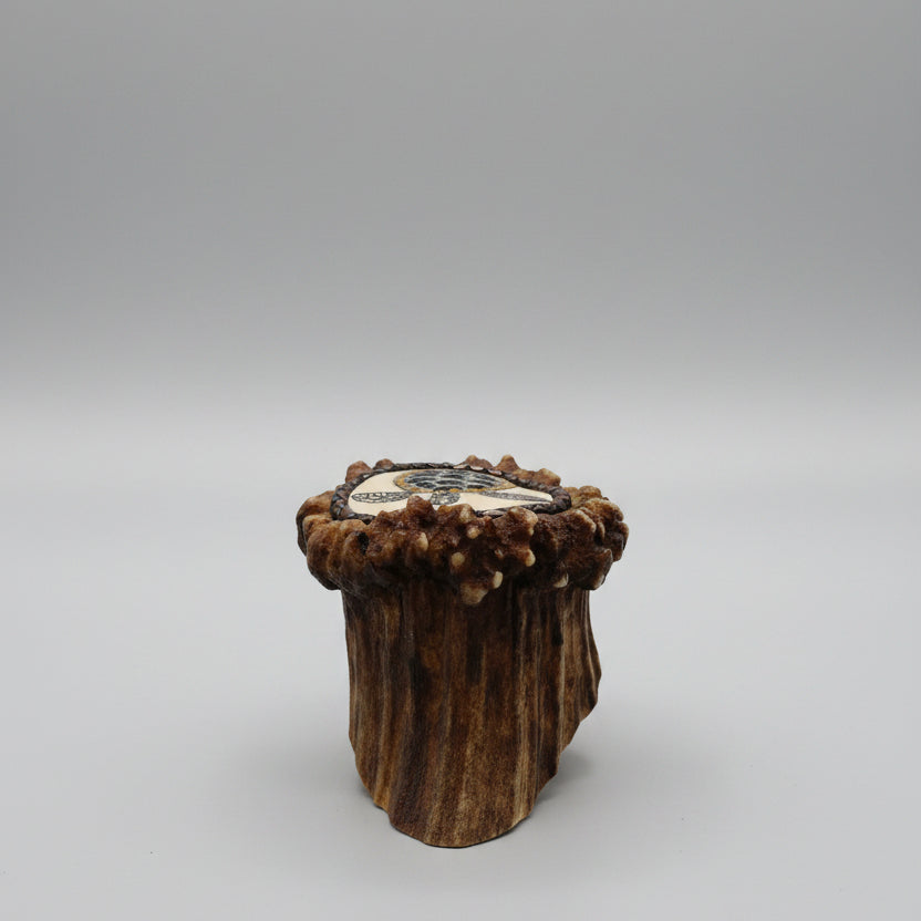 back view Decorative elk antler cornet with a spirit turtle engraved and inlayed on a gray background