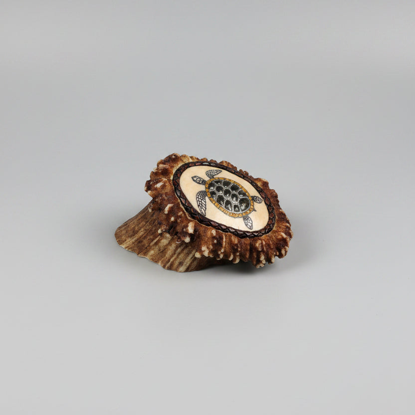 second side view of Decorative elk antler cornet with a spirit turtle engraved and inlayed on a gray background