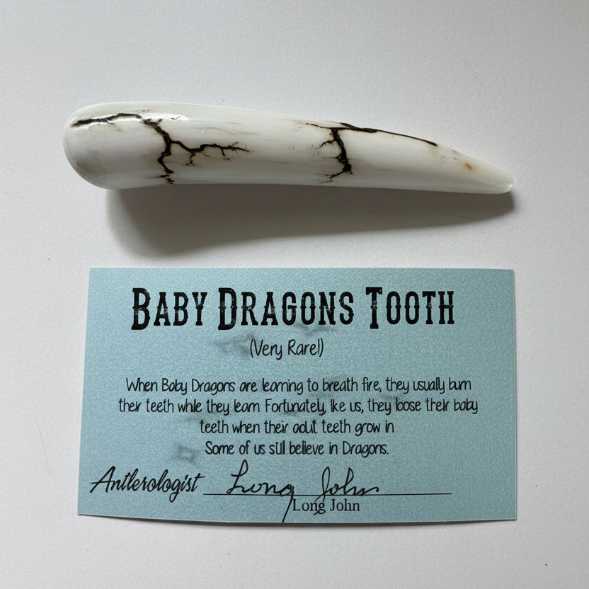 Dragon tooth like made of a deer antler tip with black strike on a gray background