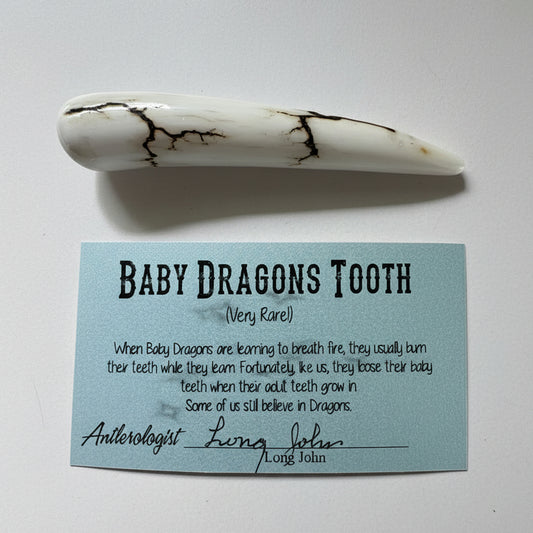 Dragon tooth like made of a deer antler tip with black strike on a gray background