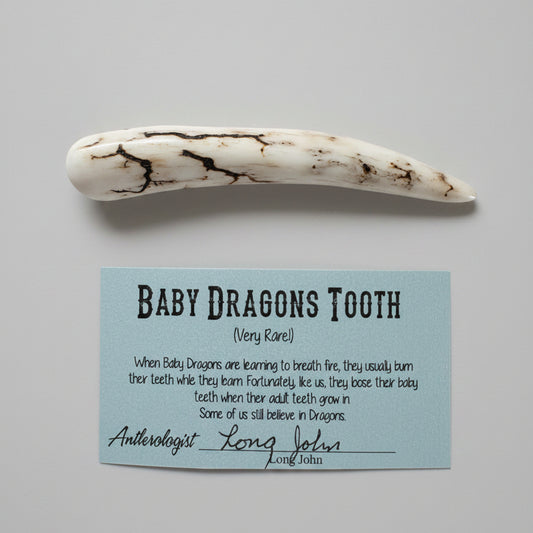 Dragon tooth like made of a deer antler tip with black strike on a gray background