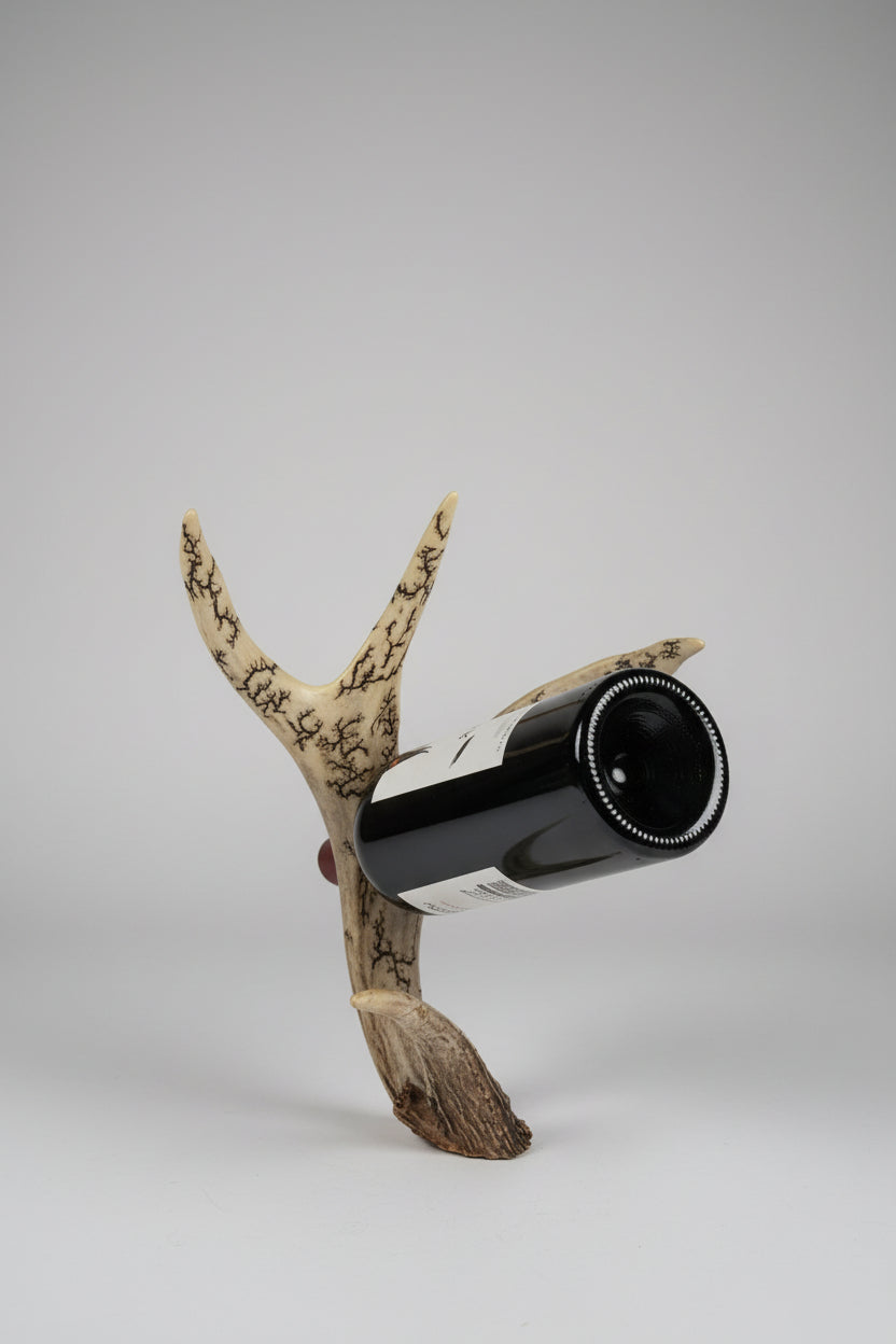 Mule deer antler bottle holder on a gray bacground