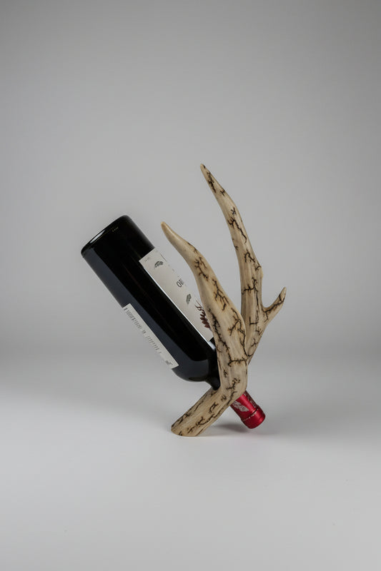 Mule deer antler bottle antler on a gray background