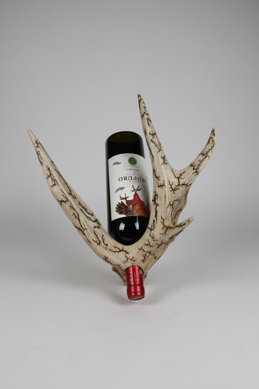 Mule deer antler bottle holder on a gray background