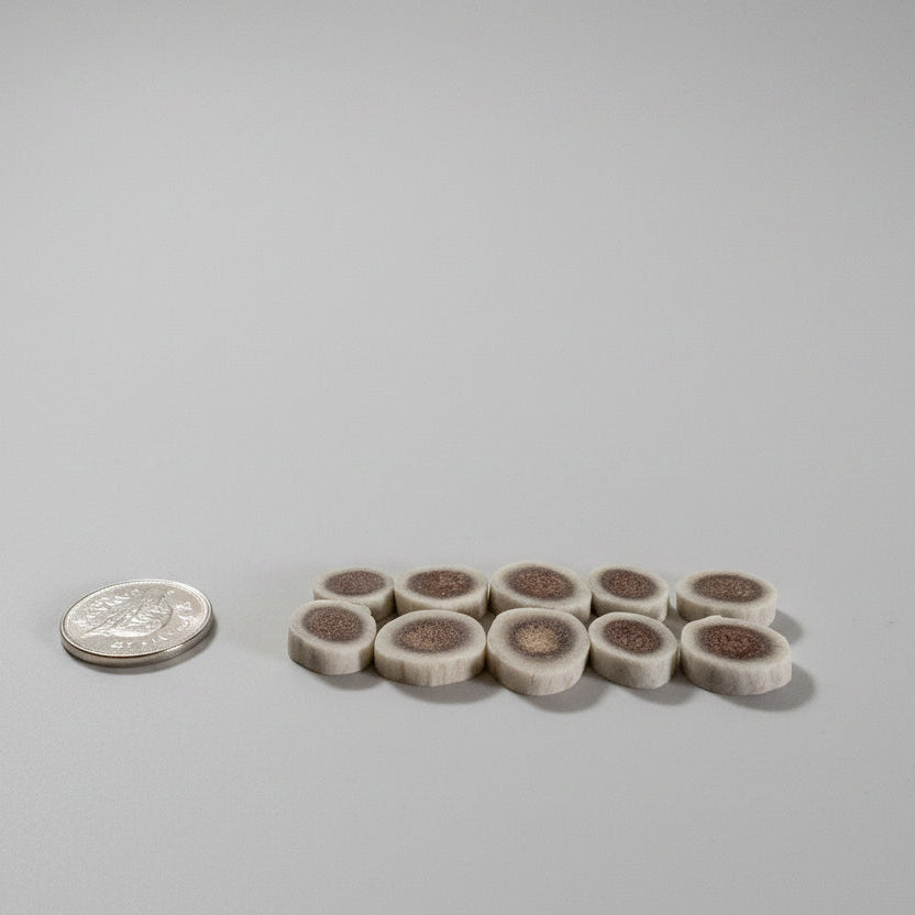 Side view of small deer slice on a gray background
