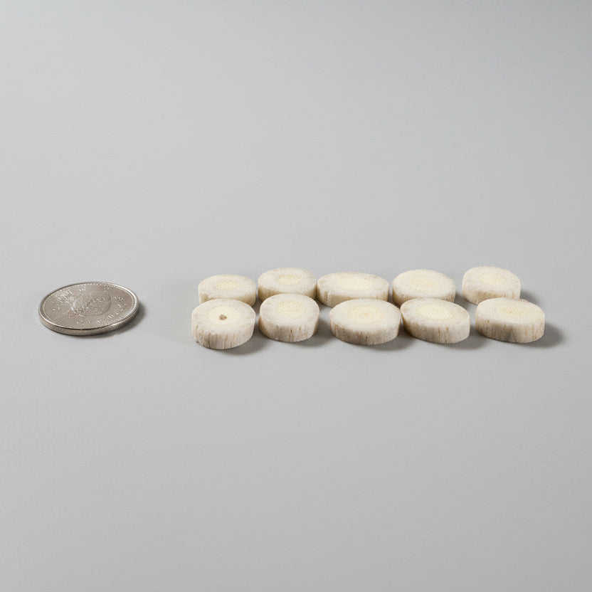 side view of deer antler slices on a gray bakground