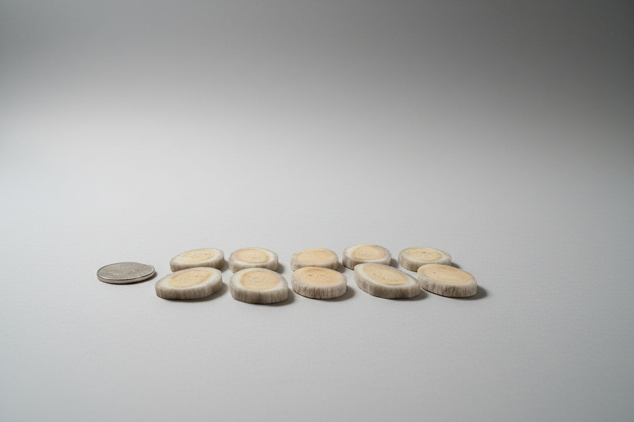 Side view of deer antler slices on a gray backround